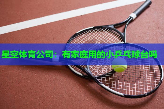 星空体育公司：有家庭用的小乒乓球台吗