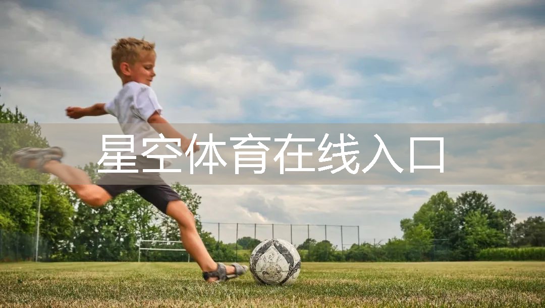 简易篮球训练器材有哪些