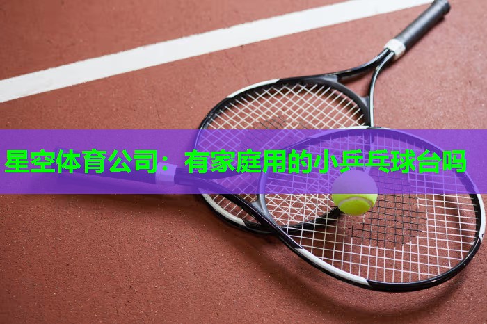 有家庭用的小乒乓球台吗